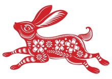 Chinese rabbit