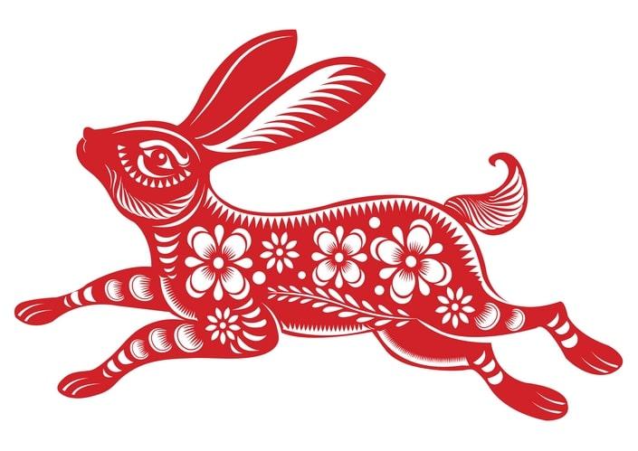 Chinese rabbit