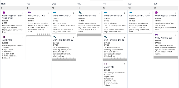 Annual Training Plan
